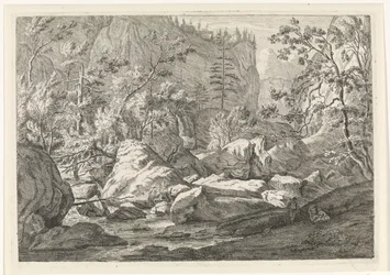 Schlucht mit Felsbrocken und Bäumen (Landschaften im Chartreuse-Gebirge)