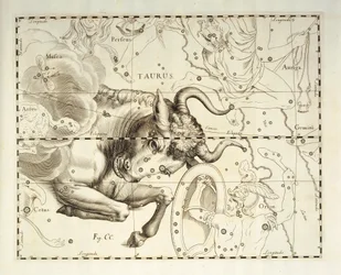 Stier, Sternbild des Stiers, Gravur aus dem Himmelsatlas Firmamentum Sobiescianum sive Uronographia, von Johann Hevelius (1611-1687), Danzig