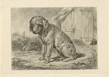 Sitzender Hund bei einer Scheune