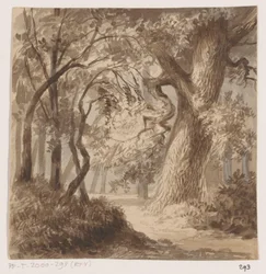 Waldlandschaft