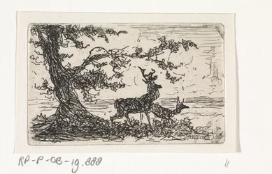 Zwei Hirsche unter einem Baum