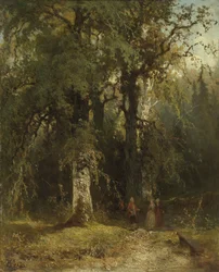 Ansicht im Wald