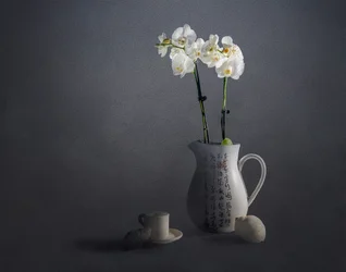 Elegantes Orchideen-Stillleben