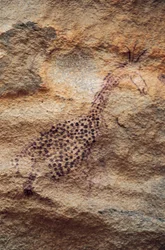 Giraffe, Höhlenmalerei, Pastorale Periode (4000-2500 v. Chr.), Tassili n