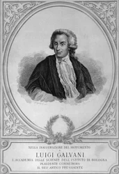 Porträt von Luigi Galvani (1737-1798), italienischer Physiologe, Physiker, Biologe und Anatom, der die tierische Elektrizität entdeckte, Zeichnung