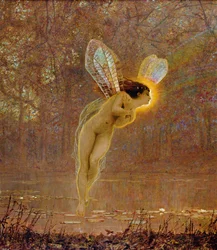 Iris, Detail der Fee