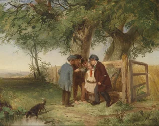 Das Vogelnest