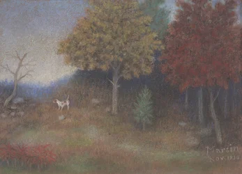 In der Nähe von Stevens Park W. Dallas