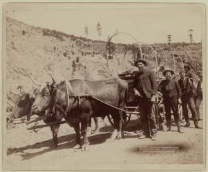 1889 - Goldsucher auf dem Weg zu den Goldfeldern