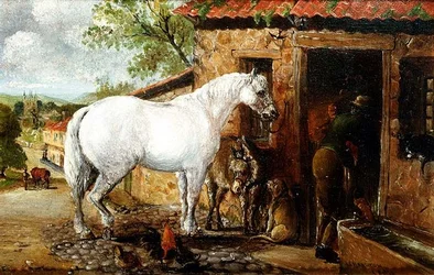 Eine graue Stute bei einer Schmiede