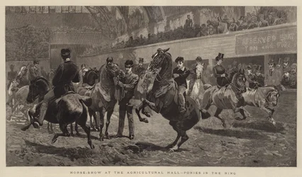 Pferdeschau in der Landwirtschaftshalle, Ponys im Ring