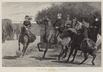 Der Reitlehrer, eine Handvoll