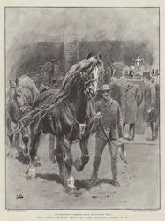Die Shire Horse Show in der Landwirtschaftshalle