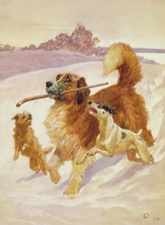 Drei Hunde spielen im Schnee, 1881