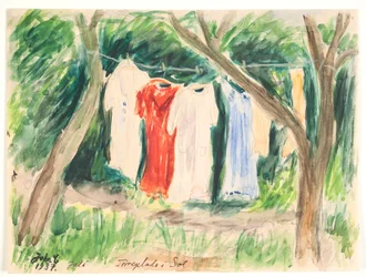 Trocknungsplatz in der Sonne