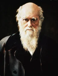 Porträt des englischen Naturforschers Charles Darwin (Detail)