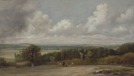 Pflügszene in Suffolk