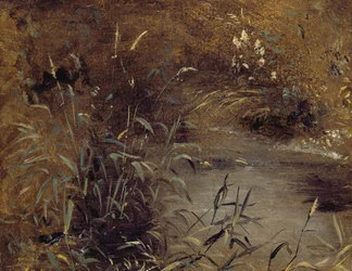 Schilf an einem Teich, ca. 1821