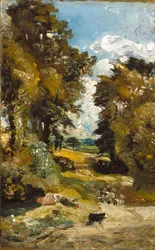 Das Kornfeld