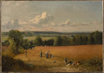 Das Weizenfeld