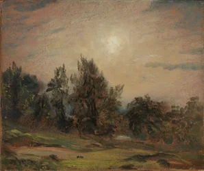 Bäume auf Hampstead Heath