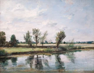 Wiesen bei Salisbury