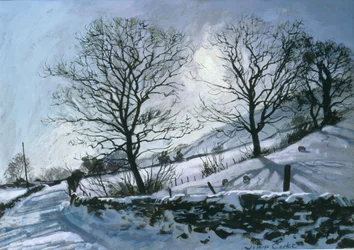 Winterlicher Nachmittag in Dentdale