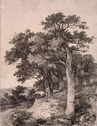 In Colney, veröffentlicht von J. & W. Freeman