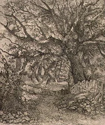 In Trowse, veröffentlicht von J. & W. Freeman