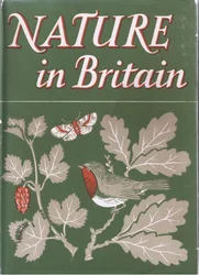 Studie von Bäumen, Natur in Großbritannien, veröffentlicht von Collins, 1946