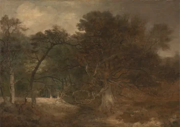 Waldlandschaft bei Norwich