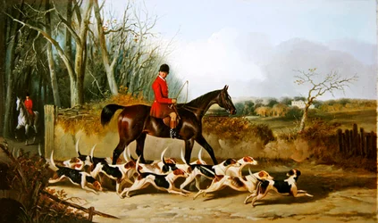 Crocteth Harriers, Rückseite von Stanfield