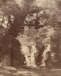Die oberen Wasserfälle, Penllergare-Talwälder, ca. 1852