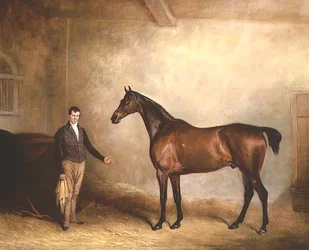 Charles Neil Hoggs Bay Hunter 