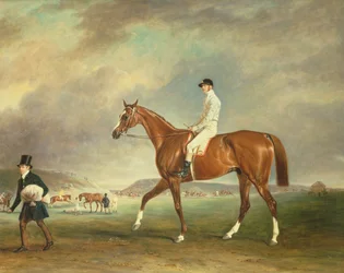 Das Cur-Kastanien-Rennpferd mit Jockey auf der Newmarket Heath