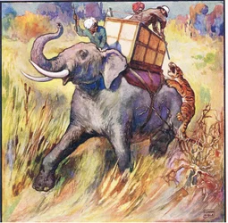 Ich setzte den Gewehrlauf an den Kopf des Tigers