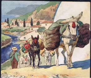 Maultiere auf einem spanischen Pass, Illustration aus 