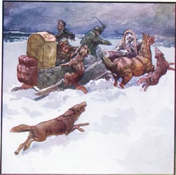 Mein Begleiter steckte kühl einen seiner Arme in das Maul eines Wolfes