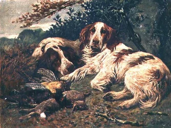 Ein Paar Leber- und Weiß-Clumber-Spaniels bei der Tagesbeute