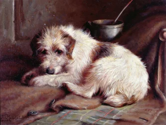 Warten auf den Meister