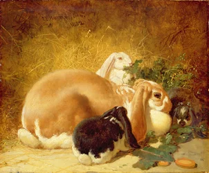 Kaninchen, 1852
