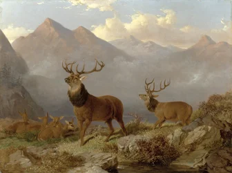 Hirsche und Hirschkühe in einer Hochlandlandschaft, 1864