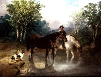 Zwei Pferde, ein Mann und ein Hund an einem Bach