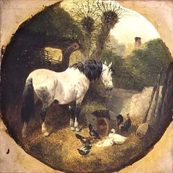 Ein Kaltblutpferd frisst Heu aus einer Schubkarre auf einem Bauernhof