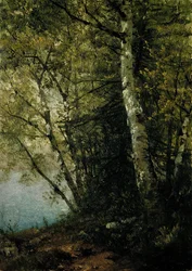 Studie von Buchen, 1872
