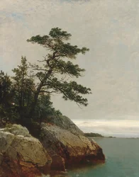 Die alte Kiefer, Darien, Connecticut