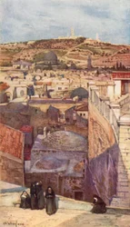 Der Ölberg, von einem Hausdach auf dem Berg Zion