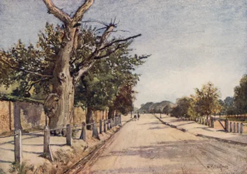 Die Spanische Straße, Hampstead