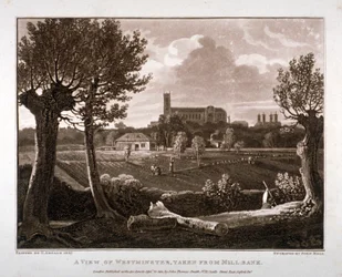 Ansicht von Westminster von Millbank aus, London, 1807