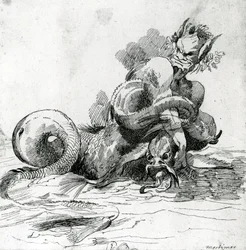 Illustration eines Seeungeheuers, 18. Jahrhundert